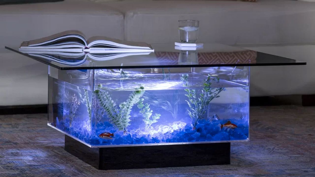 wayfair aquarium coffee table cnnu.jpg